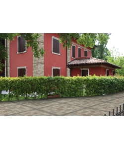 MURO DI SIENA BEIGE 31X62 SCAT. 1.35MQ